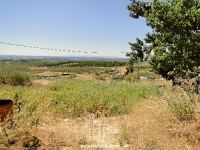 Plot Land - Sale - Castelo Branco - ID: 21-11009