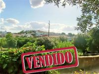 Olive grove - Alegrete - Portalegre - Sale - ID: 21-11132