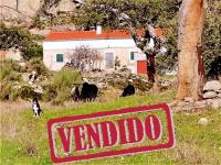 Finca - Monsanto - Idanha-a-Nova - Venta - REF: 21-11214