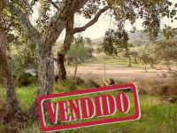 Land - Penamacor - Sale - ID: 21-11248