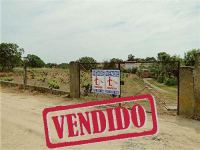 Farm - Tinalhas - Castelo Branco - ID: 21-11495