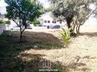 Lote de Terreno