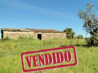 Farm with Rural House - Lardosa - Castelo Branco - ID: 21-11614