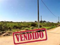 Building and Farmland - Castelo Branco - ID: 21-10663