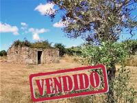 Small Farm with Ruin and Wells - Soalheira - Fundão - ID: 21-11660