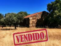 Bauernhof mit Olivenhain - Escalos de Baixo - Castelo Branco - ID: 21-11631