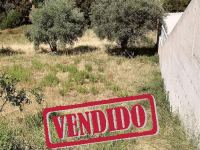 Plot of Land for House Building - Castelo Branco - ID: 21-11701