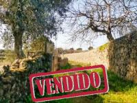 Farmland with Well - Escalos de Cima - Castelo Branco  - ID: 21-11735