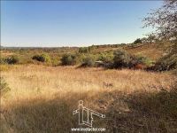 Terreno Agrícola con Pozo y Árboles Frutales - Castelo Branco - Lentiscais - REF: 21-11760