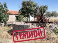 Farm with Rural and Warehouse - Lardosa - Castelo Branco  - ID: 21-11707