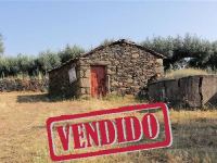 Farm with Rural Construction - Salgueiro Campo - Castelo Branco - ID: 21-11619