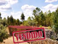 Ferme pour Permaculture - Sarnadas Ródão - Castelo Branco - Portugal - ID: 21-11693