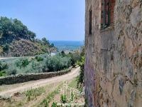 Vista