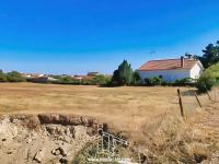 Rustic Land with Construction Feasibility - Lardosa - Castelo Branco - ID: 21-11794
