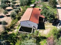 Quinta