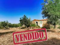 Bauernhof mit Wohnhaus und Landbau - Lousa, Castelo Branco - ID: 21-11797