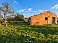 Terreno Agrícola com Construção e Poço - Sto André Tojeiras - Castelo Branco - REF: 21-11845
