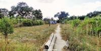 Panoramica_4