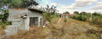 Panoramica_1