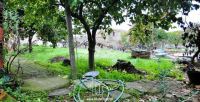Panoramica_1